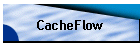 CacheFlow