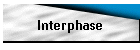 Interphase