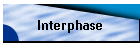 Interphase